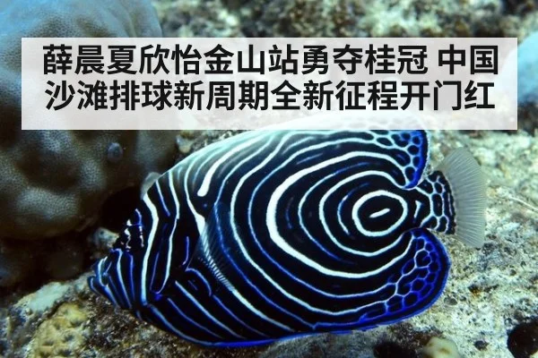 薛晨夏欣怡金山站勇夺桂冠 中国沙滩排球新周期全新征程开门红